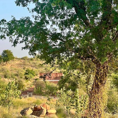 Kaner Retreat - India'S First Desert Botanical Resort Shaitrāwa 외부 사진