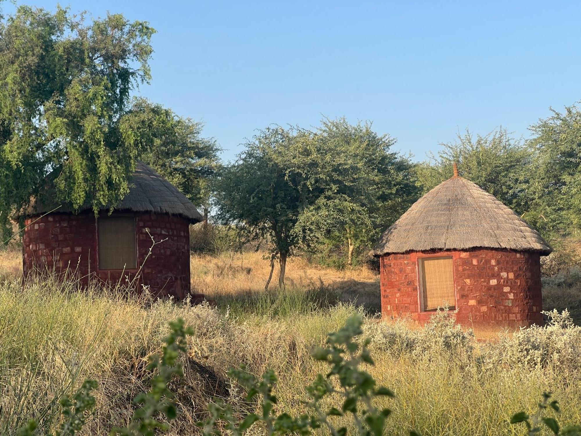 Kaner Retreat - India'S First Desert Botanical Resort Shaitrāwa 외부 사진